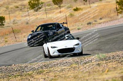 media/Mar-22-2025-West Coast Racing (Sat) [[0d49b412c8]]/Green Group/Session 3 (Turns 5 and 6)/
